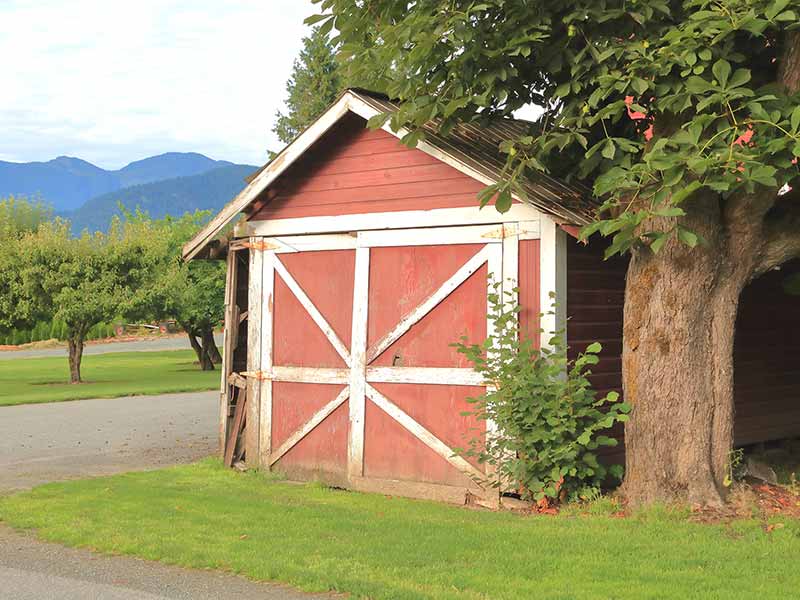 Same-Day Shed Removal in Clarksville, TN